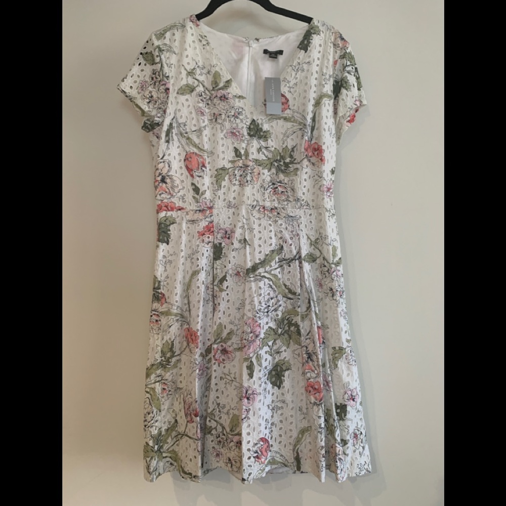 Ann Taylor White Floral Eyelet Short Sleeve Dress NWT